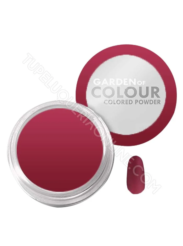 Acrílico Color | 01 Granate 4g.